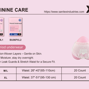 X9 Regular Disposable Overnight Period Underwear